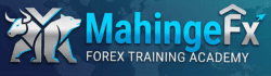 Exness Logo